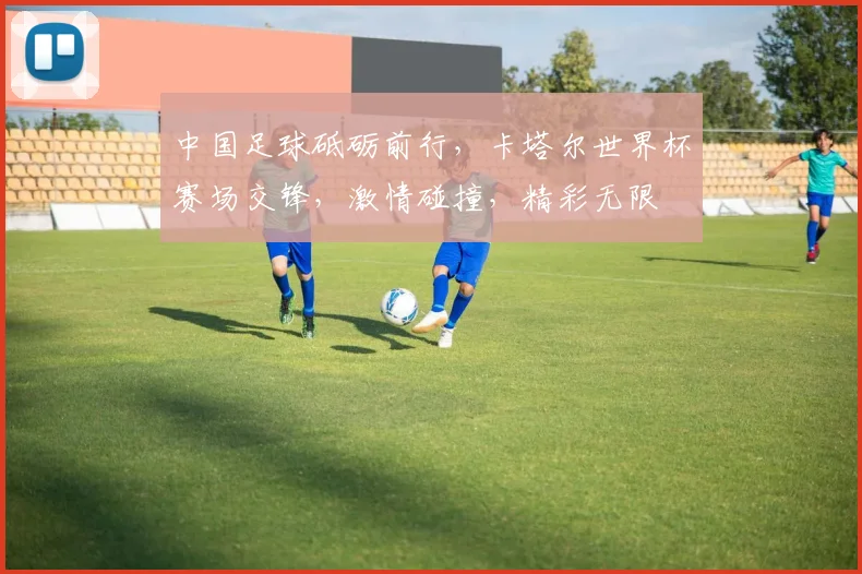 中国足球砥砺前行，卡塔尔世界杯赛场交锋，激情碰撞，精彩无限